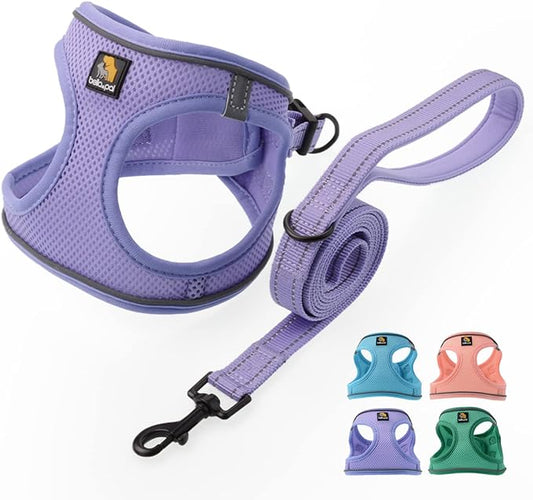 BELLA & PAL Step in Vest Harness for Small and Medium Dogs, No Pull Small Dog Harness with Leash Set, Comfortable Air Mesh...