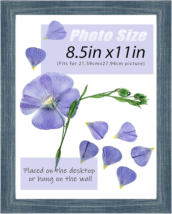 Frametory, 8.5x11 Picture Frame with Glass, Tabletop & Wall Horizontal or Vertical Display, 8 1/2 x 11 Photo Frame for Dip...