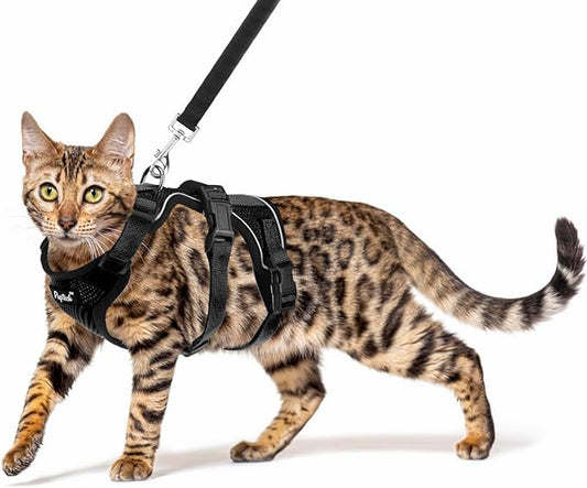 PUPTECK Cat Harness and Leash Set Escape Proof for Walking, Breathable Mash Vest Adjustable Harness for Cats Puppy Small A...