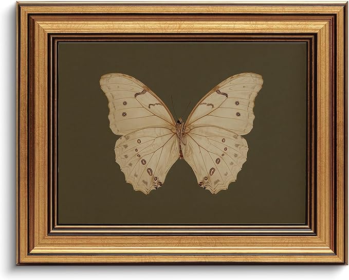 Gold Framed Wall Art Vintage Butterfly Canvas Wall Art White Butterfly Moody Insect Artwork Prints Picture for Living Room...