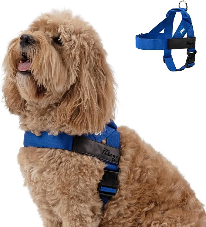 Dog Friendly Co. Dog Harness | Chafe Resistant Webbing, Adjustable Neck & Chest, and Heavy Duty D-Ring | Sturdy, Comfortab...