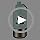 ILOMAX 3-in-1 Stainless Steel Dog Travel Water Bottle with Food & Water Bowls, Leak-Proof & Insulated, Extra Magnetic Lid,...