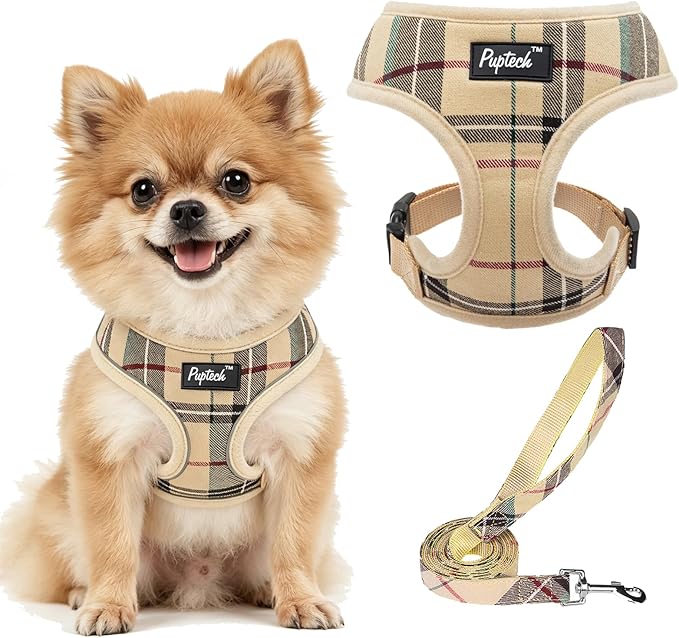 PUPTECK Soft Mesh Dog Harness Small Sized and Leash Set Pet Puppy Cat Comfort Padded Vest No Pull Harnesses, Beige, S