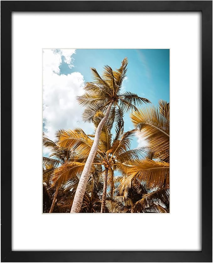 Frametory, 16x20 Black Picture Frame - Display Pictures 11x14 Photo with Mat - High Definition Real Glass- Wide Molding (1...