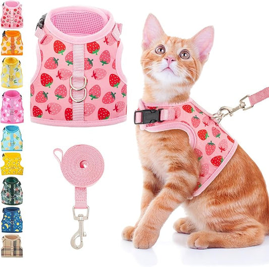 BINGPET Cat Harness and Leash Set Escape Proof, Fashionable Adjustable Mesh Harness for Walking, Soft Cute Breathable Easy...
