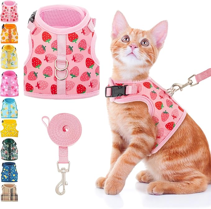 BINGPET Cat Harness and Leash Set Escape Proof, Fashionable Adjustable Mesh Harness for Walking, Soft Cute Breathable Easy...