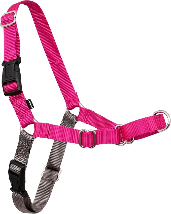 PetSafe Easy Walk Harness for Dogs - Pull-Free Walks - Patented Martingale Loop Design - Front Chest Leash Attachment - Ad...
