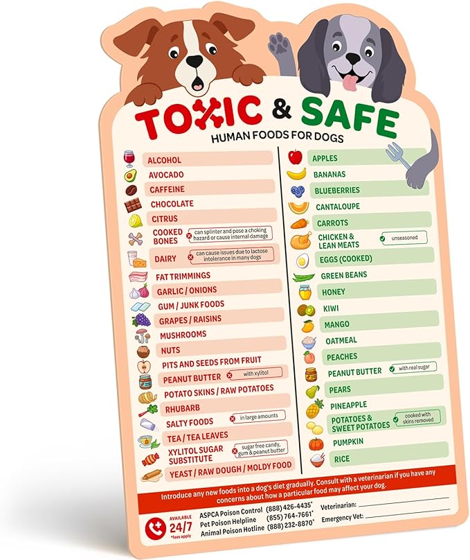 EBPP Magnetic List of Foods Dogs Can Eat - Dog Feeding Chart Fridge Magnet - Foods Dogs Shouldnt Eat Chart Decorative Magn...