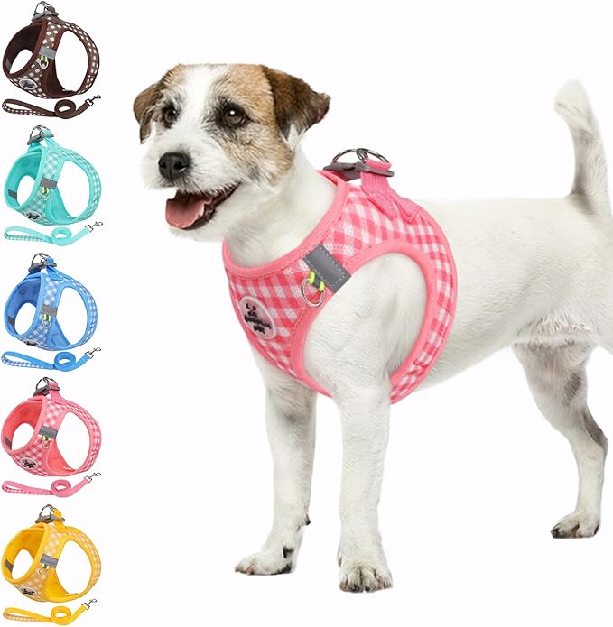 Gyuzh Dog Harness and Leash Set,Soft Mesh Breathable Small Dog Harness,Reflective Adjustable Puppy Harness,No Pull Pet Har...