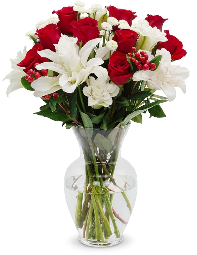 STARGAZER BARN Red Royale Rose Bouquet (Vase Included) - Hand-Tied in the USA - Fresh Flower Delivery for Birthday, Annive...