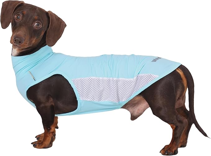 WienieDay Dachshund Dog Cooling Vest, Breathable Summer Dog Cooling & Quick-Dry Shirt for Outdoor Activities,Mini Dachshun...