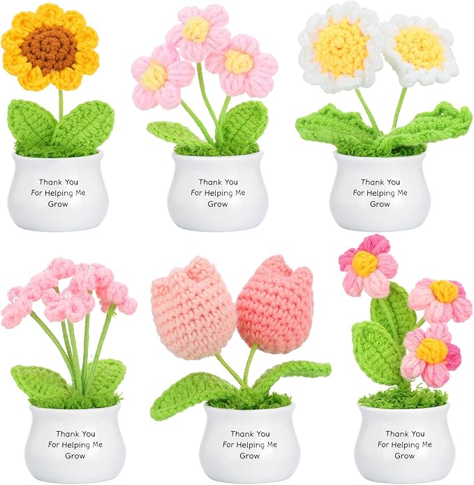 Ferrochef 6 Pcs Teacher Appreciation Gifts Crochet Flowers Bulk Thank You for Helping Me Grow Crochet Flower Handmade Appr...