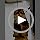 Kalimdor Interactive Cat Feather Toys,Retractable Teaser Toy ，Hanging Interactive Toys for Indoor Cats Kitten Play Chase E...