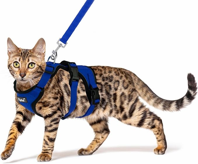 PUPTECK Cat Harness and Leash Set Escape Proof for Walking, Breathable Mash Vest Adjustable Harness for Cats Puppy Small A...