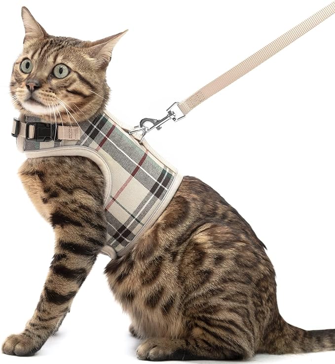 PUPTECK Soft Mesh Cat Vest Harness and Leash Set Puppy Padded Pet Harnesses Escape Proof for Cats Small Dogs Rabbits Bunn...