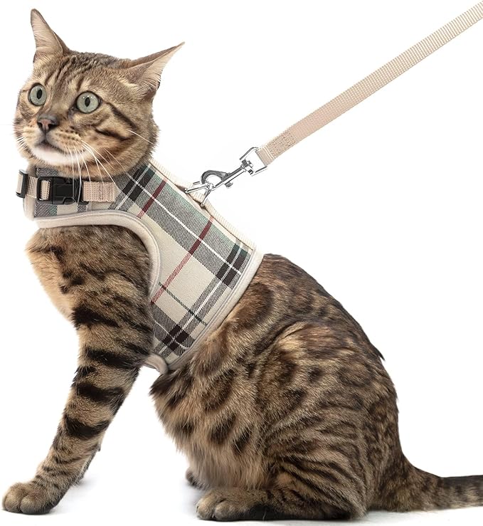 PUPTECK Soft Mesh Cat Vest Harness and Leash Set Puppy Padded Pet Harnesses Escape Proof for Cats Small Dogs Rabbits Bunn...