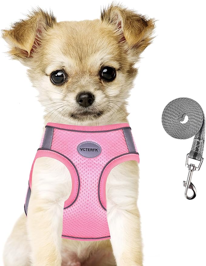 Small Dog Harness and Leash Set, Step-in Puppy Vest with Breathable Soft Padded Mesh, Walking Reflective Pet Harness for S...