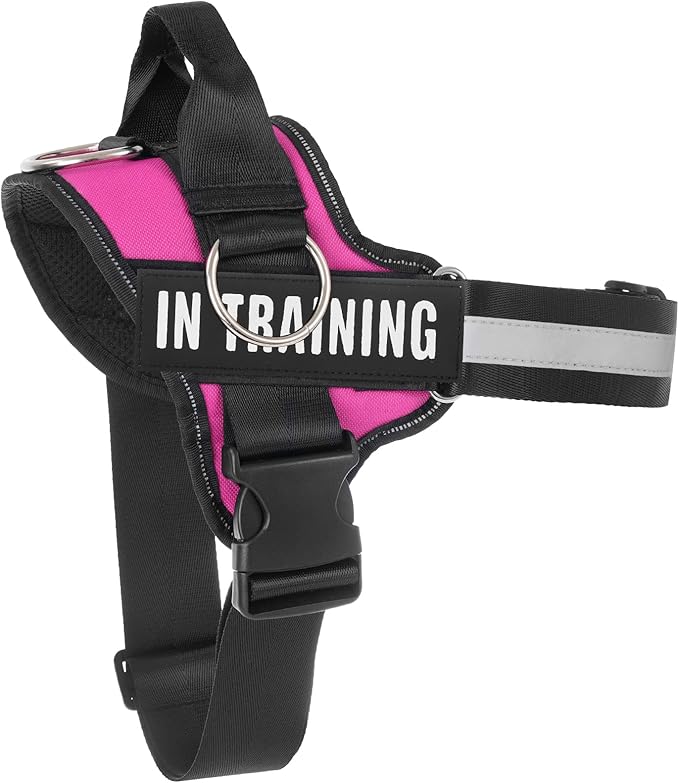 Essential Dog Harness, No Pull Pet Harness with 3 Side Rings for Leash Placement, No Choke, Reflective, Adjustable Pet Ves...