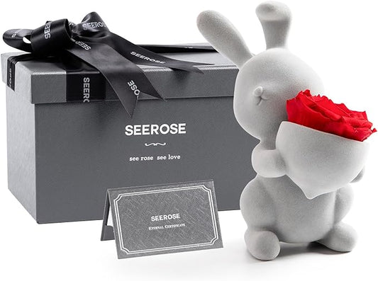 SEEROSE Preserved Rose with Cute Rabbit, Forever Real Rose Last for Years, Romantic Flower Gift for Her, Wife, Girlfriend,...