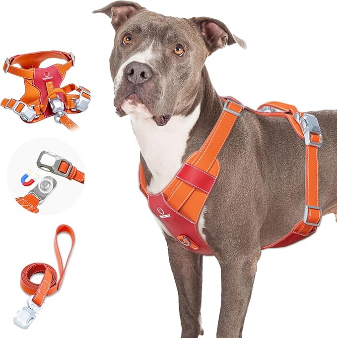 Tokcam Magnetic Dog Harness and Leash Set with Quick Release Buckle, Easy On & Off Faux Leather Puppy Harness with Leash, ...