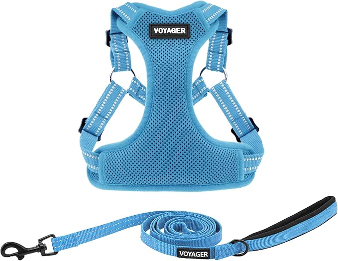 Best Pet Supplies Voyager Adjustable Step-in Flex Breathable Mesh Dog Harness for Small Medium Large Dogs Leash Set (Baby ...