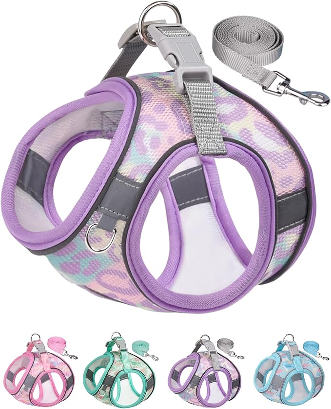 Aecllcea Dog Harness for Small Medium Dogs No Pull, Cat Harness and Leash Set, Step in Puppy Harness (Purple, XXS)
