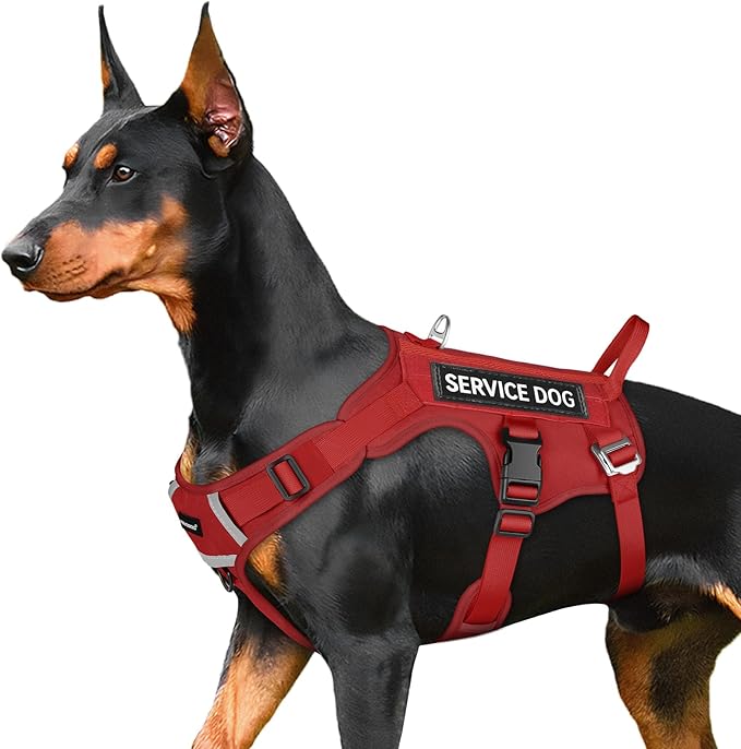FAYOGOO Service Dog Harness for Medium Dog - Mesh Breathable Dog Harness Escape Proof with Handle - No Pull Military Servi...