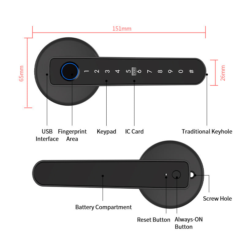 Graffiti Bluetooth Smart Door Lock For Home And Office, With Fingerprint Recognition