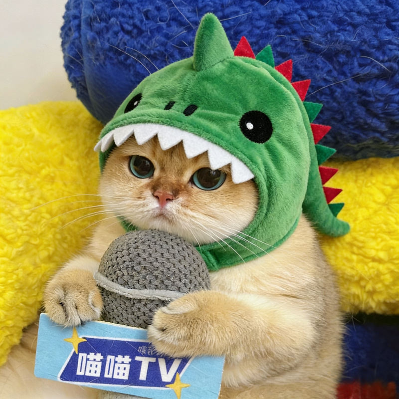 Pet Cat Dinosaur Hooded Warm Hat