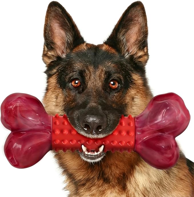 Apasiri Tough Dog Toys for Aggressive Chewers: Beef Flavored Long Lasting Dog Bones for Large Dogs, Heavy Duty Nylon & Rub...