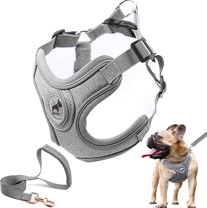 Dog Frenchie Harness with Leash Set, No Pull Adjustable Step in with Breathable Padded Vest Harness for Small Medium Large...
