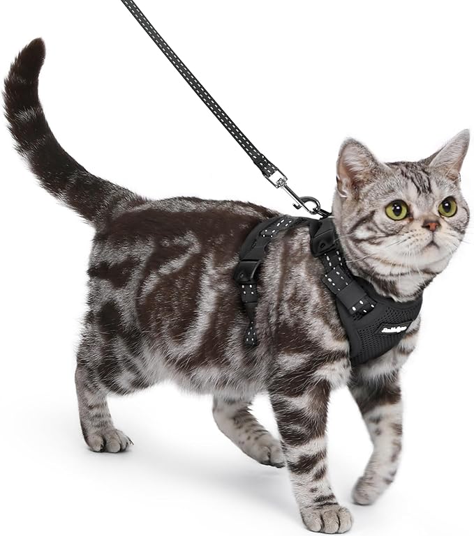 rabbitgoo Cat Harness and Leash, Escape Proof Vest with 3 Adjustable Buckles, Soft Comfortable Kitten Harness, Easy to Wea...