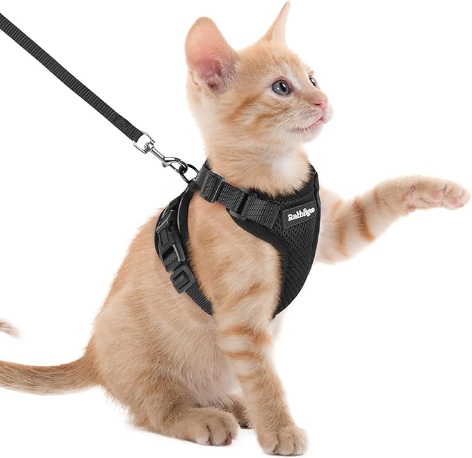 rabbitgoo Cat Harness and Leash for Walking, Escape Proof Soft Adjustable Vest Harnesses for Cats, Easy Control Breathable...