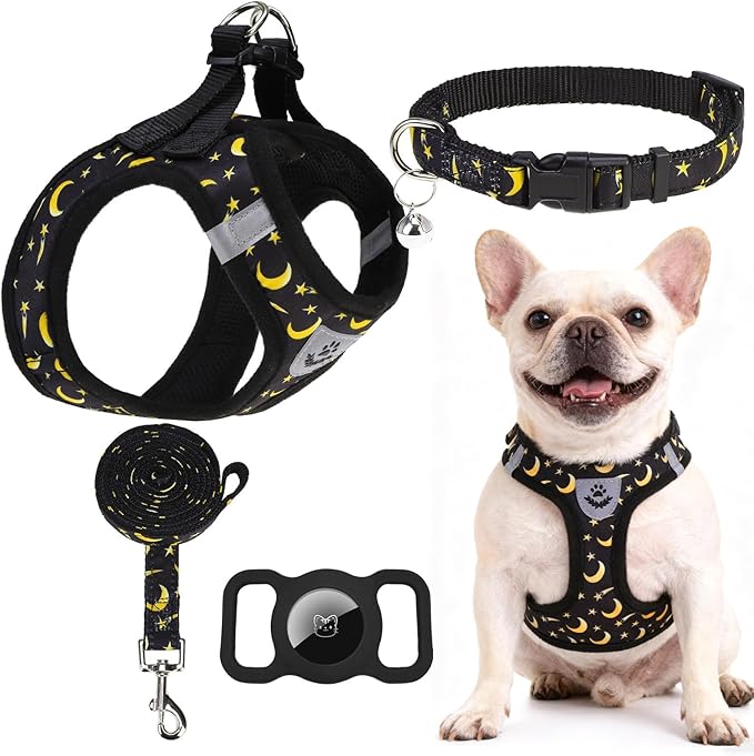 EXPAWLORER Small Dog Harness and Leash Set - Cute Puppy Harness Leash Dog Collar with AirTag Holder Silicone Case, Soft Pa...