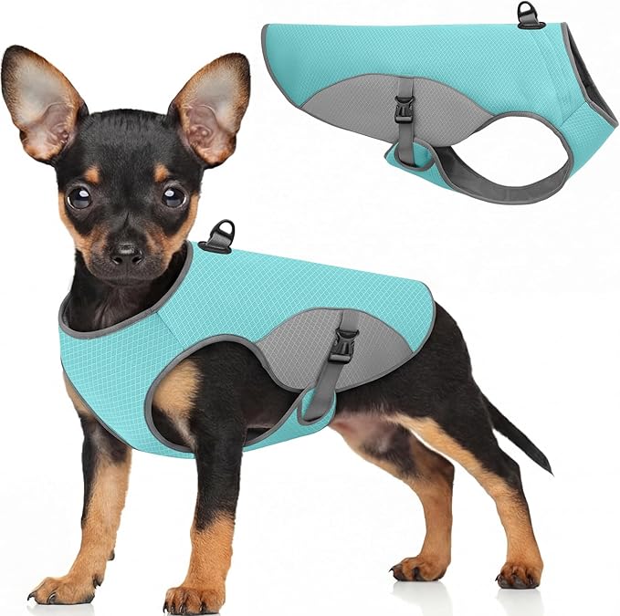 Preferhouse Dog Cooling Vest for Small Dogs, Cooling Jacket for Dogs with Mesh and D Ring, Dog Reflective Stripe Jacket fo...