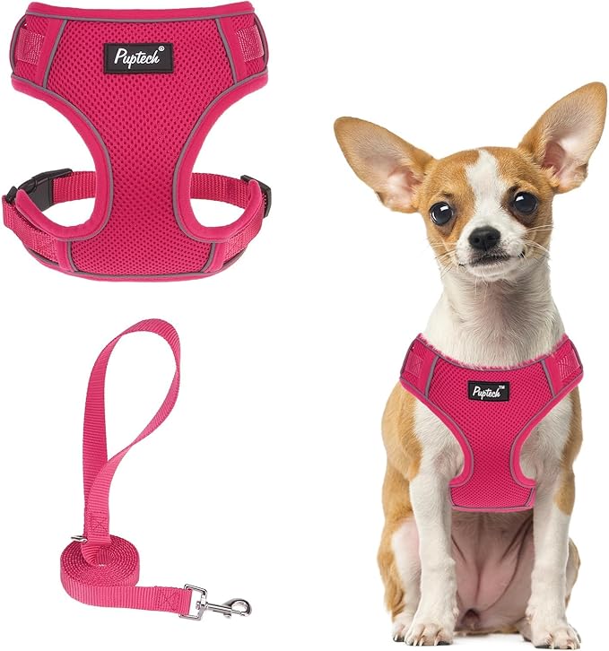 PUPTECK Small Dog Harness and Leash Set, No Pull Adjustable Puppy Cat Harness, Reflective Soft Mesh Pet Vest Small Sized, ...