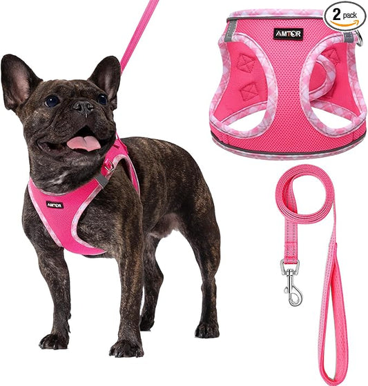 AMTOR Small Dog Harness with Leash Set, No Escape Easy Walk Puppy Harnesses for Training Walking, Step-in Reflective Soft ...