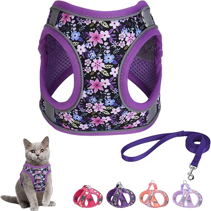 Step in Dog Harness and Leash Set, Flower Adjustable Easy Walk Puppy Harnesses, Soft Mesh Pet Vest Harness Small Size Dog ...