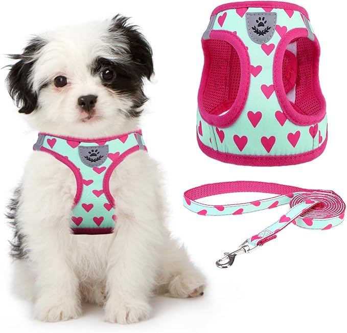 KOOLTAIL Valentines Dog Harness and Leash Set for Small Medium Dogs, Step in No Pull Soft Mesh Dog Harness Padded Pet Ves...