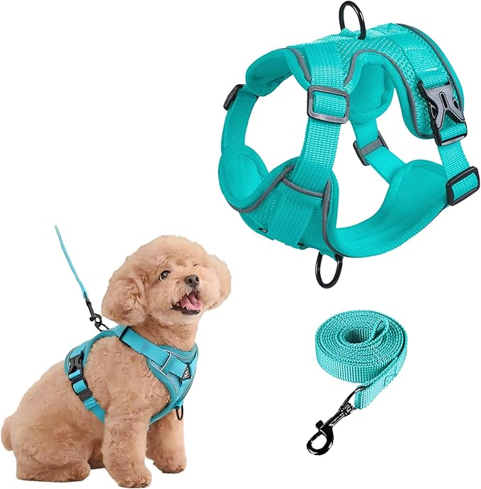 SOLMOONY Small Dog Harness,Soft Mesh Puppy Harness and Leash Set,No Escape Cat Harnesses for Training Walking,Reflective A...