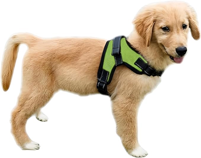 Copatchy No Pull Reflective Adjustable Dog Harness With Handle- Comfortable Soft All Weather Mesh, Easy On Puppy Harness F...