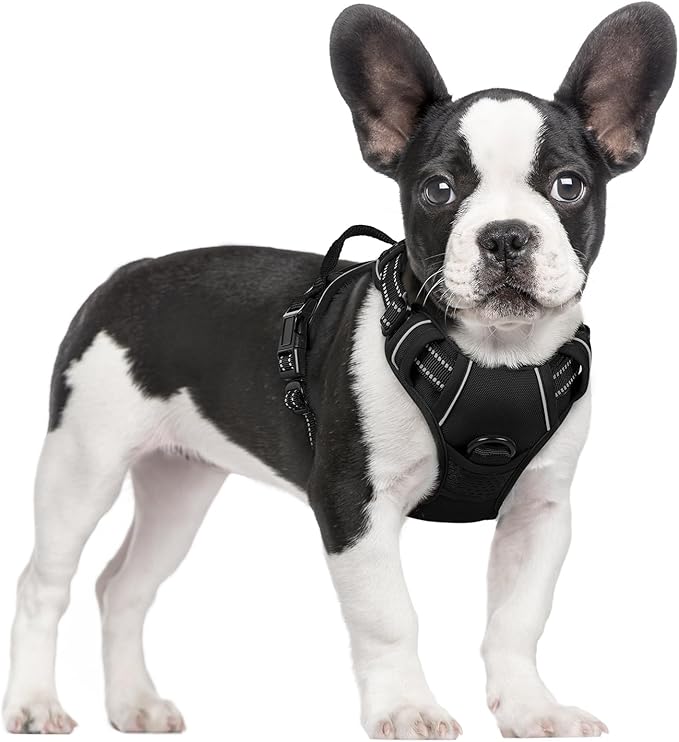 rabbitgoo Dog Harness No Pull with 2 Leash Clips, Adjustable Soft Padded, Reflective Oxford No Choke Pet Vest with Easy Co...