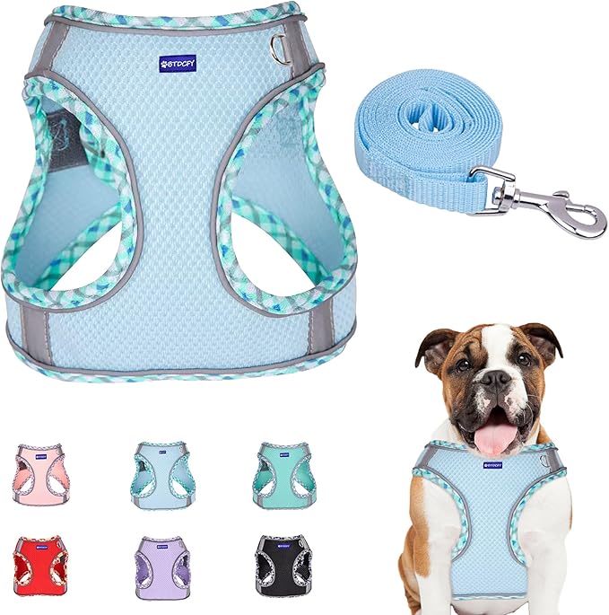 BTDCFY Step in Mesh Dog Harness and Leash Set - Breathable Air Mesh Reflective Escape Proof Dog Harness Vest - No Choke, L...