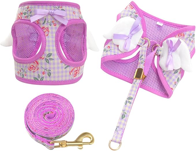 Dog Harness and Leash Set with Angle Wings,Pet Adjustable Mesh Vest Harness with Wings and Bow for Small Medium Dogs Cats_...