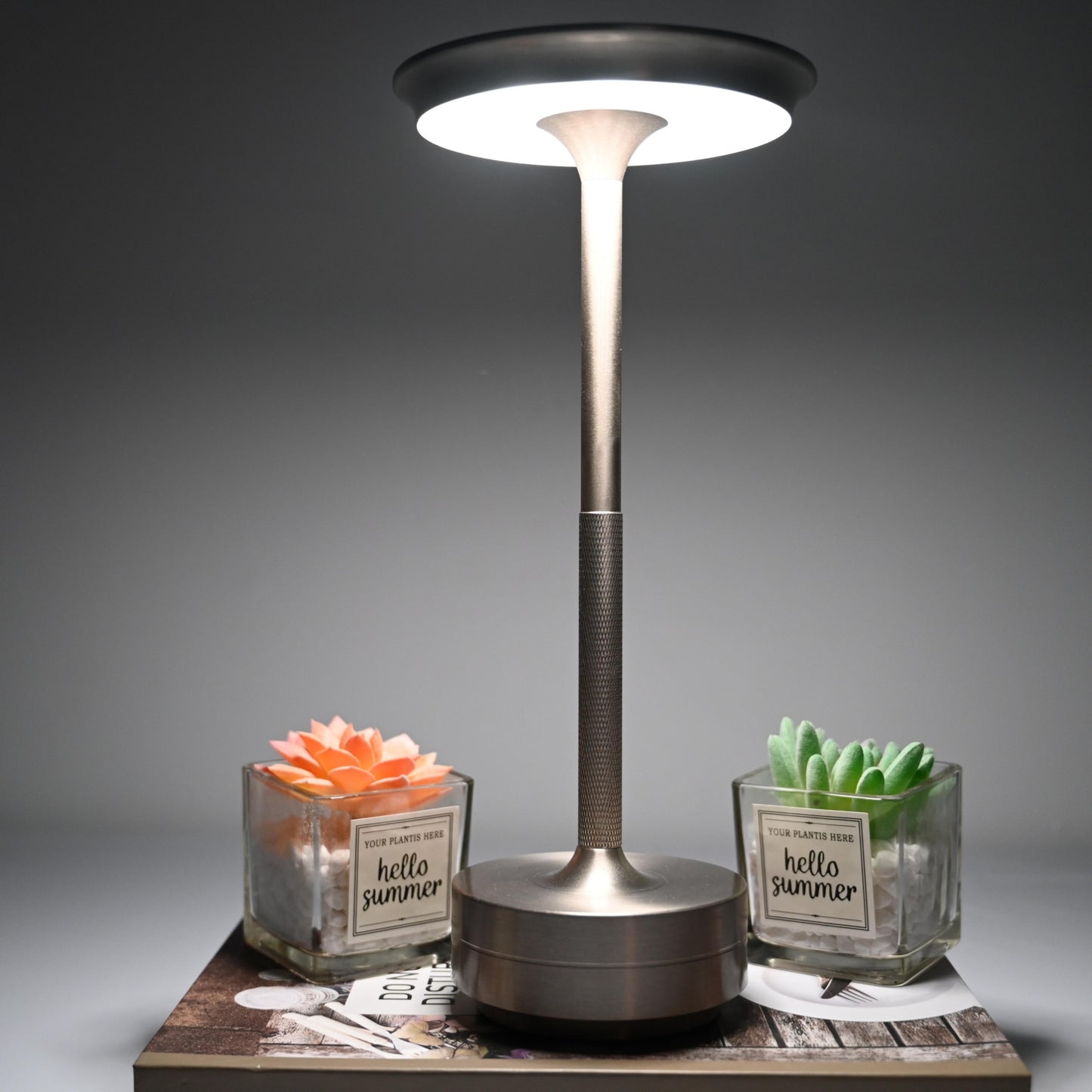 Stepless Dimming Aluminum LED Cordless Desk Lamp