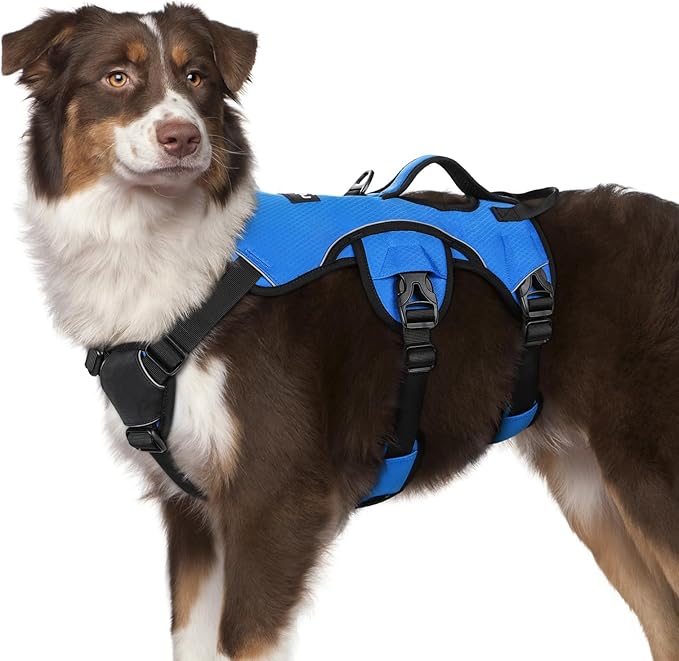 rabbitgoo Escape Proof Dog Harness, Soft Padded Full Body Pet Harness, Reflective Adjustable No Pull Vest with Lift Handle...
