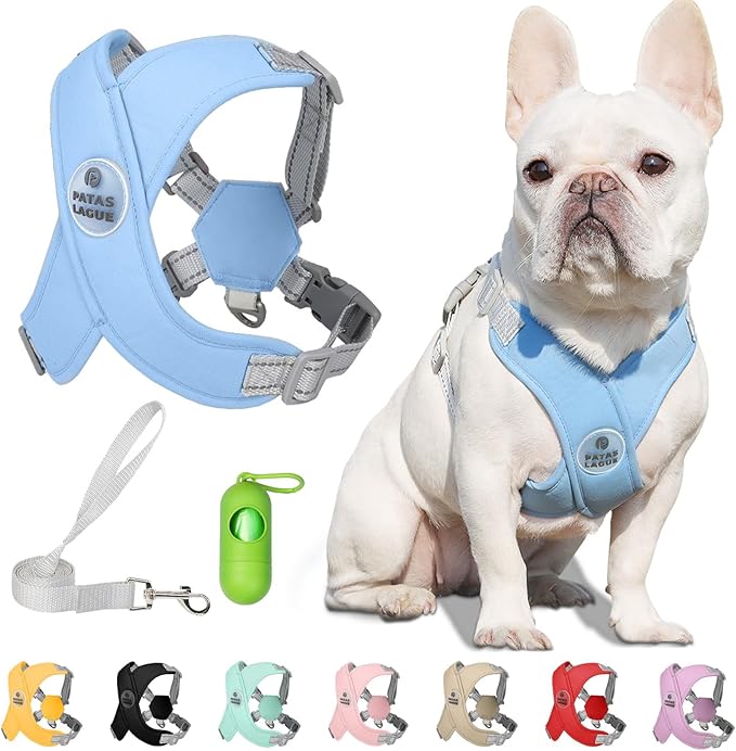 Patas Lague Dog Harness with Leash Set Adjustable Soft Padded Step-in Dog Vest No Choke No Pull Reflective for Small Mediu...