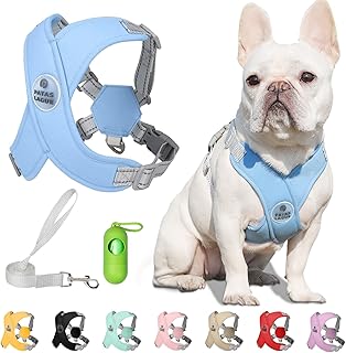 Patas Lague Dog Harness with Leash Set Adjustable Soft Padded Step-in Dog Vest No Choke No Pull Reflective for Small Mediu...