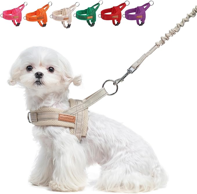 BEAUTYZOO Dog Harness for Small Dogs, No Pull Dog Harness and Leash Set, Soft Escape Proof Puppy Vest Harness with Handle,...