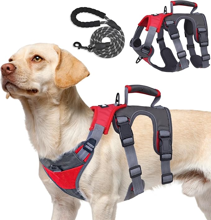 PUPTECK Escape Proof Dog Harness and Leash Set Upgraded No Pull Reflective Dog Vest with Lift Handle, Easy Control Pet Har...